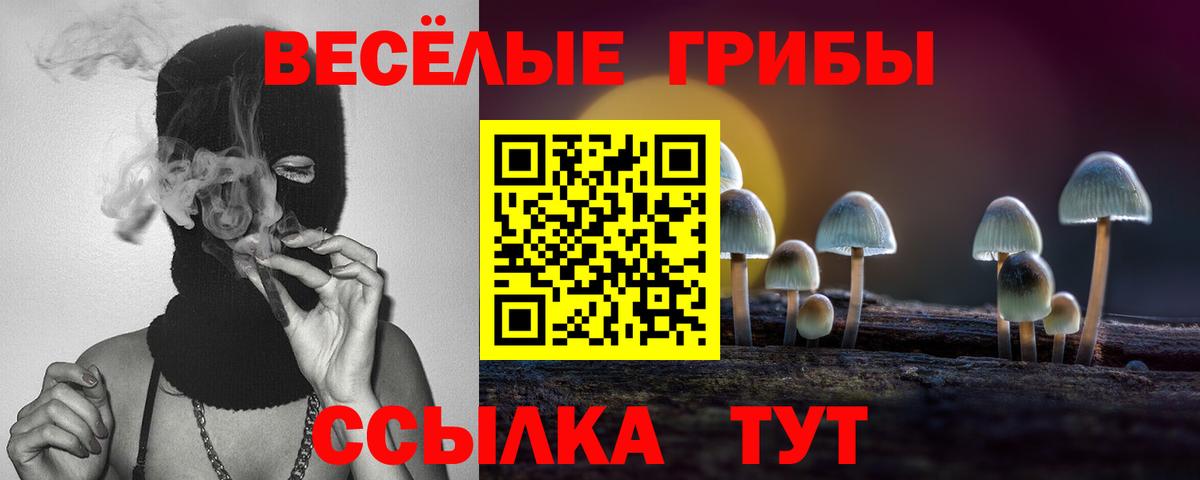 Бирск  Псилоцибиновые грибы MAGIC MUSHROOMS  Вход с VPN 
